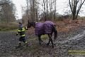 záchrana koně_SP_1122_HZSPK (2)