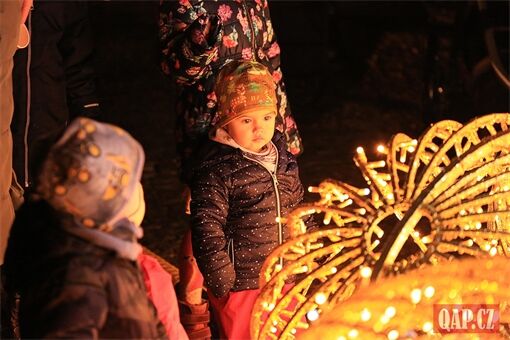 Rozsvícení vánočního stromu lochotín foto QAP (18)
