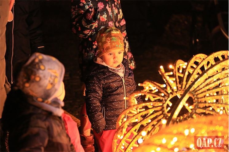Rozsvícení vánočního stromu lochotín foto QAP (18)