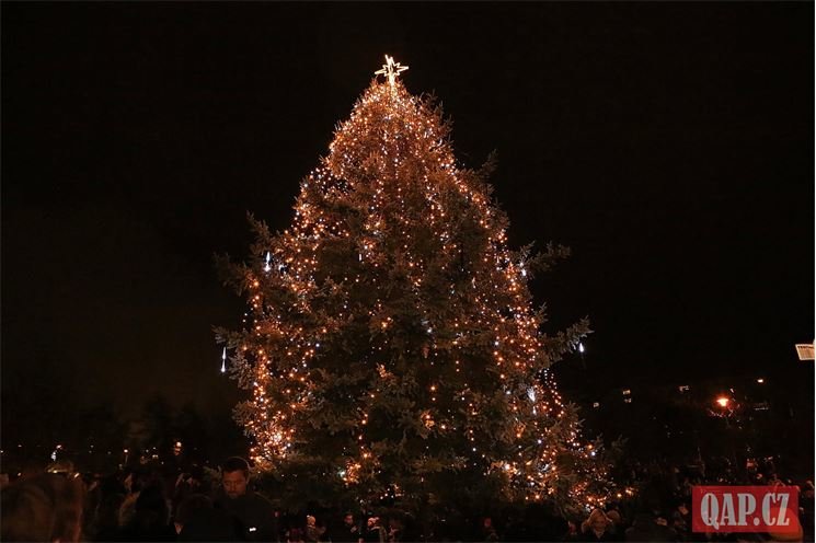 Rozsvícení vánočního stromu lochotín foto QAP (51)