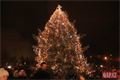 Rozsvícení vánočního stromu lochotín foto QAP (52)