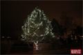 Rozsvíceni stromu na Vinicích foto QAP (1)