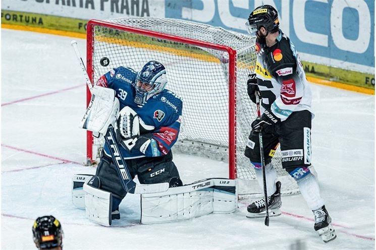 plzeň_Sparta_221222_HC