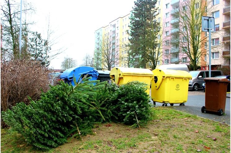 stromky popelnice_ÚMO Plzeň 1