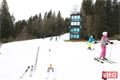 Šúičák Šumava 29_12_foto QAP (20)