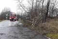 strom domažlicko Klíčov foto HZSPK