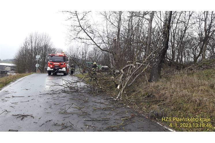 strom domažlicko Klíčov foto HZSPK