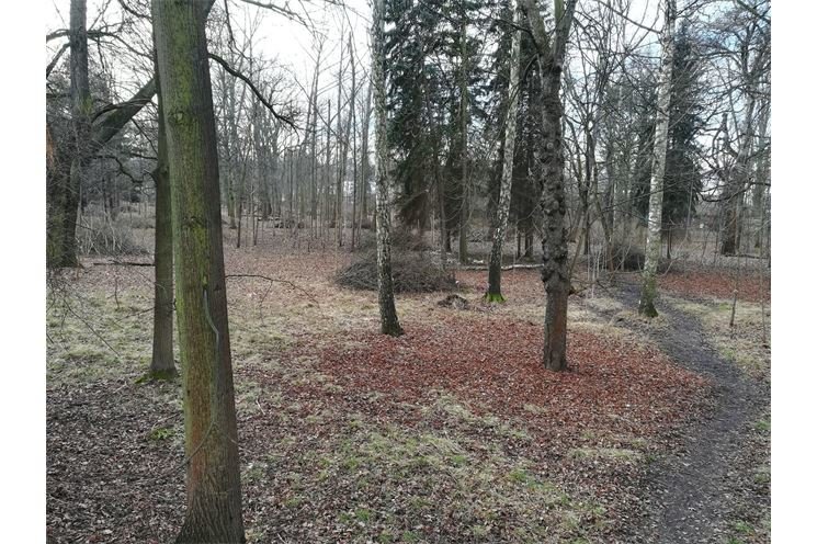 Papírenský park_odpad_0123_fotoPetrKUTÁK_MMP (4) Papírenský park_odpad_0123_fotoPetrKUTÁK_MMP (4)