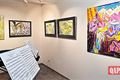 Galerie Hess vernisáž Dana Raunerová (32)