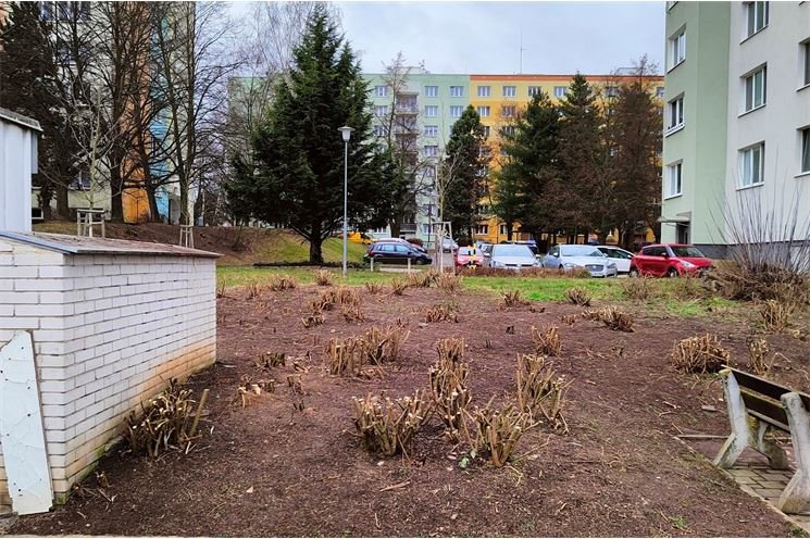 keře Skvrňany_prořez_0223_ÚMO3 keře Skvrňany_prořez_0223_ÚMO3