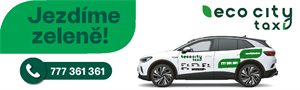 EcoCity TAXI_copy_copy_copy_copy