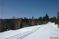  Bretterschachten _běžky _ŠUMAVA foto QAP (18)