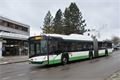 230302_Bus_trolejbus_SVS_Alej_svobody_3