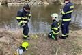 hasiči u vody_České údolí_uhyn ryb_HZSPK