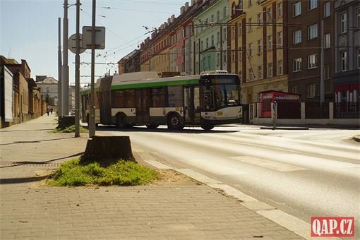 Edvarda Beneše Kácení stromů _foto QAP (25) Edvarda Beneše Kácení stromů _foto QAP (25)