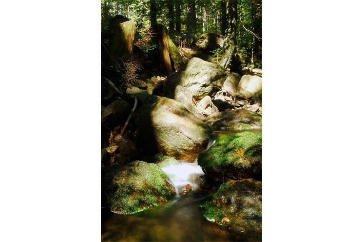Šumava43 Šumava43