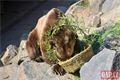 Medvědi_oslava zoo_0423_QAP (17)