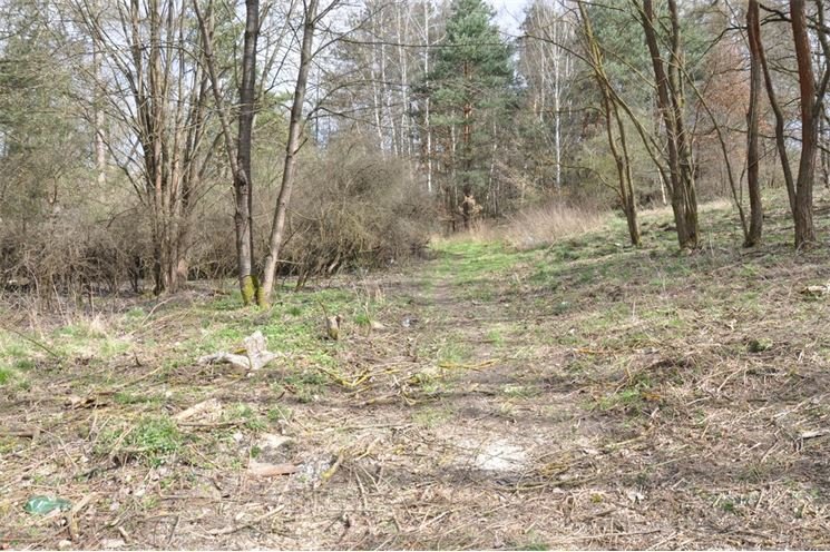 DSC_0027_SVSMP_greenway_Vejprnice