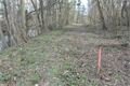 DSC_0029__SVSMP_greenway_Vejprnice