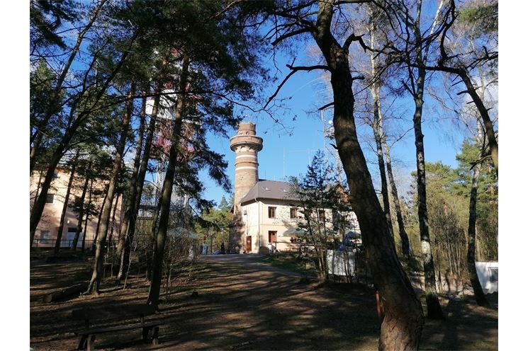Krkavec_foto zdroj Krkavec (2)