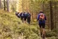 pruvodci divočinou NP Šumava