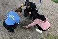 Litice čisteni hrist mo plzen 6 (9)