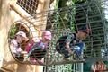 rozšíření dětského hřiště ZOO_0623_QAP (13)
