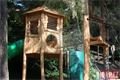 rozšíření dětského hřiště ZOO_0623_QAP (6)