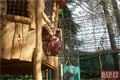 rozšíření dětského hřiště ZOO_0623_QAP (10)