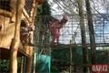 rozšíření dětského hřiště ZOO_0623_QAP (11)