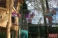 rozšíření dětského hřiště ZOO_0623_QAP (12)