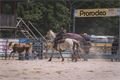 Rodeo Corral DNešice_0723_Milan Janoch (6)