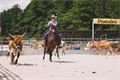 Rodeo Corral DNešice_0723_Milan Janoch (12)