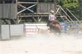 Rodeo Corral DNešice_0723_Milan Janoch (13)