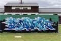 graffiti pro dobrou věc_Přeštice_0723_Milan Janoch (52)