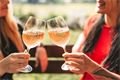 Plzeňský festival vína 2023 - podzim_komerční (1)