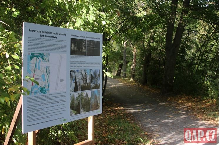 Kilometrovka Plzeň_1023_QAP (2)