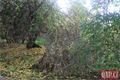 Kilometrovka Plzeň_1023_QAP (11)
