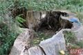 Kilometrovka Plzeň_1023_QAP (13)