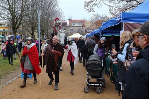 Svatomartinská husa Doubravka Z. Vaiz 1