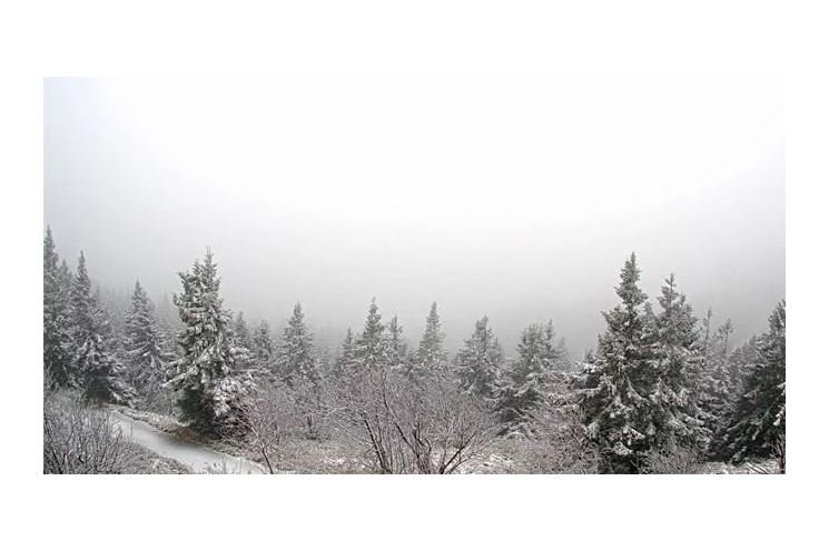 webkamera_ŠUMAVA_SNÍH webkamera_ŠUMAVA_SNÍH