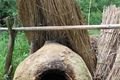 Pec