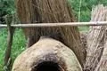 Pec
