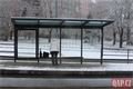 Konec rekonstrukce tram na Skvrňanech_1223_QAP (10)