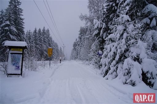 Šumava _Železnorudsko 1_12_foto QAP (27) Šumava _Železnorudsko 1_12_foto QAP (27)