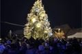 vandal zničil vánoční strom_1223_FB Aleš Tolar (2)