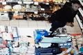 Plzeňští policisté pátrají po zloději_1223_PČR (1)