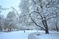 sníh v Plzni_1223_Milan Svoboda (6)