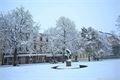 sníh v Plzni_1223_Milan Svoboda (8)