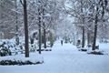 sníh v Plzni_1223_Milan Svoboda (10)